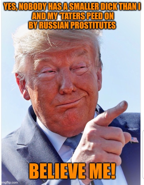 Trump pointing | YES, NOBODY HAS A SMALLER DICK THAN I
 AND MY 'TATERS PEED ON
 BY RUSSIAN PROSTITUTES BELIEVE ME! | image tagged in trump pointing | made w/ Imgflip meme maker