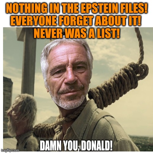 Blank Transparent Square Meme | NOTHING IN THE EPSTEIN FILES!
EVERYONE FORGET ABOUT IT! 
NEVER WAS A LIST! | image tagged in memes,blank transparent square | made w/ Imgflip meme maker