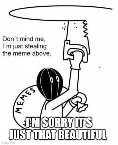 Don't mind me I'm just stealing the meme above | I'M SORRY IT'S JUST THAT BEAUTIFUL | image tagged in don't mind me i'm just stealing the meme above | made w/ Imgflip meme maker