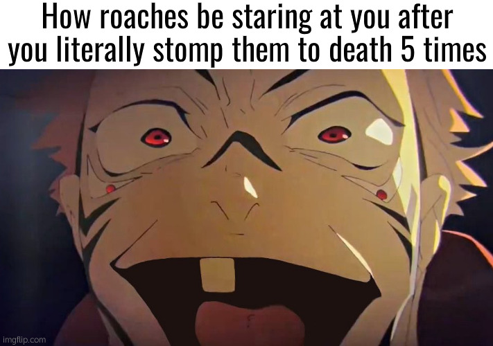 Real | How roaches be staring at you after you literally stomp them to death 5 times | image tagged in thukuna,relatable | made w/ Imgflip meme maker