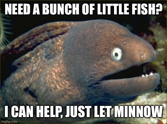 Bad Joke Eel | NEED A BUNCH OF LITTLE FISH? I CAN HELP, JUST LET MINNOW | image tagged in memes,bad joke eel | made w/ Imgflip meme maker