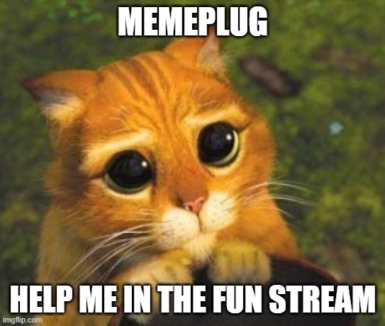 https://imgflip.com/i/9zsj3z | MEMEPLUG; HELP ME IN THE FUN STREAM | image tagged in sad puppy eyes cat,memeplug,memes,fun stream,msmg,imgflip | made w/ Imgflip meme maker