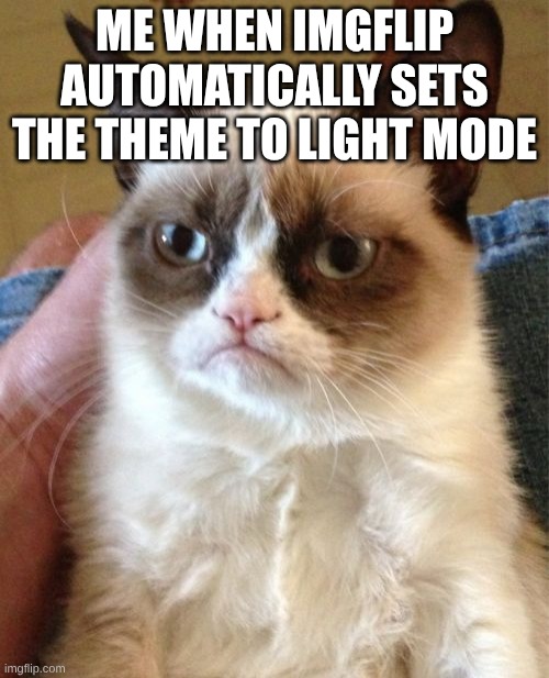 Why can't they just leave it like i want??? | ME WHEN IMGFLIP AUTOMATICALLY SETS THE THEME TO LIGHT MODE | image tagged in memes,grumpy cat | made w/ Imgflip meme maker