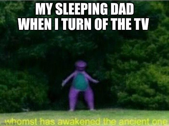 hoooooonk-mimimimimi-WHO THE HELL TURNED OF THE TV | MY SLEEPING DAD WHEN I TURN OF THE TV | image tagged in whomst has awakened the ancient one | made w/ Imgflip meme maker