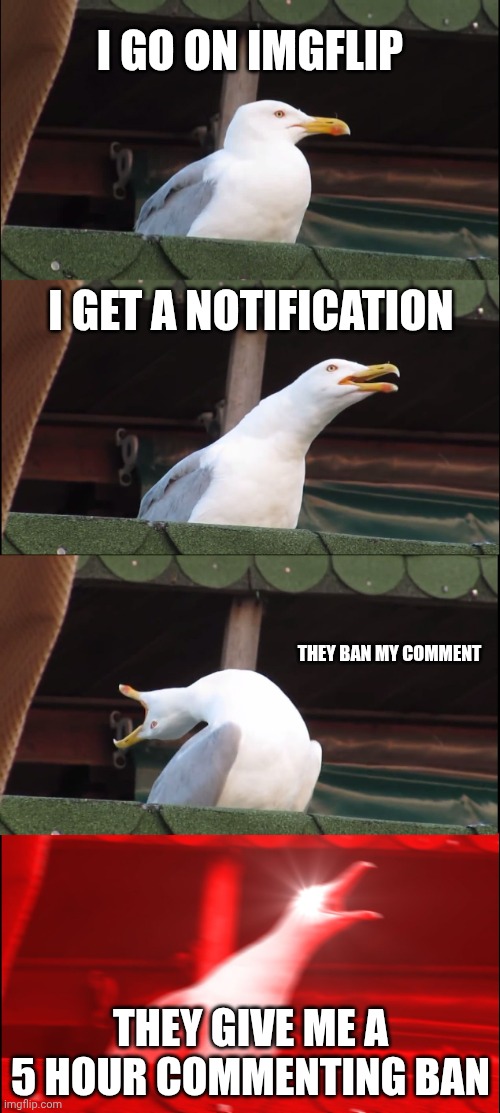 based on a true story | I GO ON IMGFLIP; I GET A NOTIFICATION; THEY BAN MY COMMENT; THEY GIVE ME A 5 HOUR COMMENTING BAN | image tagged in memes,inhaling seagull | made w/ Imgflip meme maker