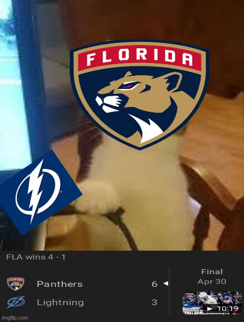 Florida Panthers meme | image tagged in memes,nhl,hockey,ice hockey,sports,funny memes | made w/ Imgflip meme maker