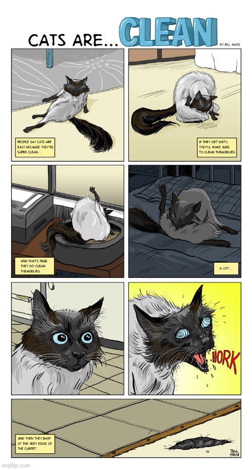 It’s usually ON the rug or carpet, not the edge… | image tagged in cats,comics,cats are clean,hairball | made w/ Imgflip meme maker