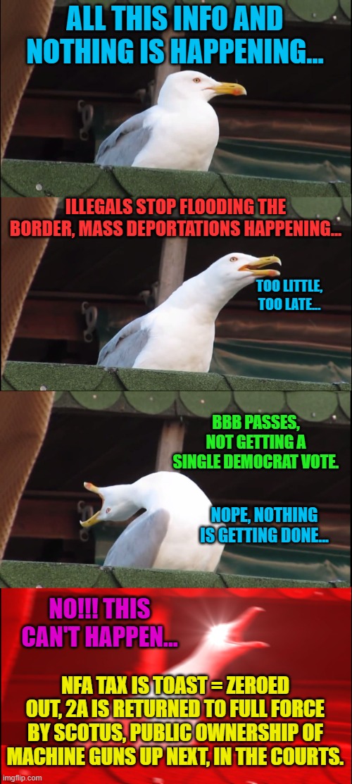 Inhaling Seagull | ALL THIS INFO AND NOTHING IS HAPPENING... ILLEGALS STOP FLOODING THE BORDER, MASS DEPORTATIONS HAPPENING... TOO LITTLE, TOO LATE... BBB PASSES, NOT GETTING A SINGLE DEMOCRAT VOTE. NOPE, NOTHING IS GETTING DONE... NO!!! THIS CAN'T HAPPEN... NFA TAX IS TOAST = ZEROED OUT, 2A IS RETURNED TO FULL FORCE BY SCOTUS, PUBLIC OWNERSHIP OF MACHINE GUNS UP NEXT, IN THE COURTS. | image tagged in memes,inhaling seagull | made w/ Imgflip meme maker
