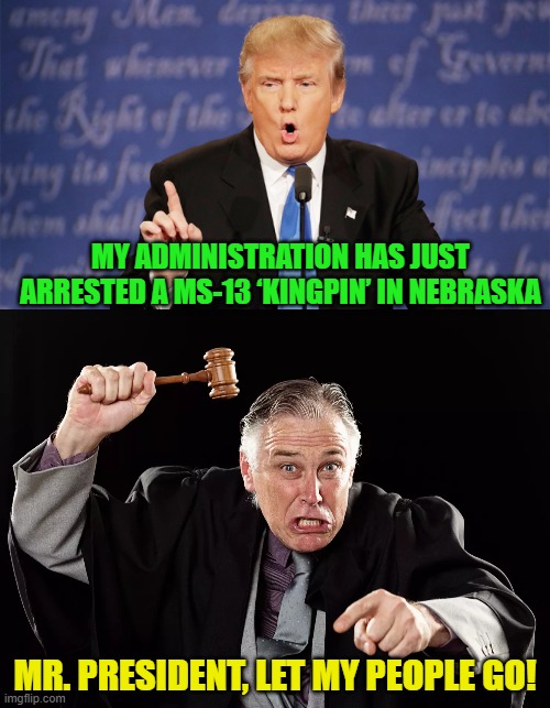 You KNOW a leftist activist judge somewhere is getting ready to 'rule' the equivalent of that. | MY ADMINISTRATION HAS JUST ARRESTED A MS-13 ‘KINGPIN’ IN NEBRASKA; MR. PRESIDENT, LET MY PEOPLE GO! | image tagged in donald trump wrong | made w/ Imgflip meme maker