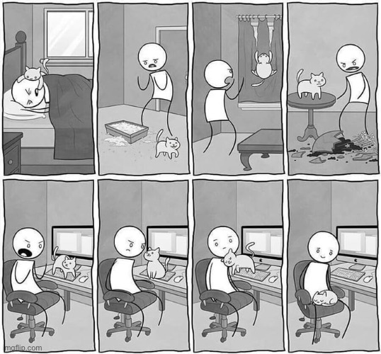 What having a cat is like… | image tagged in cats,love hate relationship,comics | made w/ Imgflip meme maker