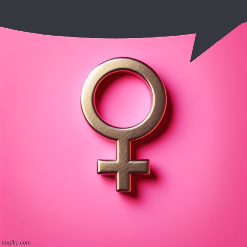 female symbol on pink background | image tagged in female symbol on pink background | made w/ Imgflip meme maker