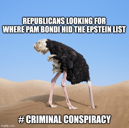 Looking for epstein files | REPUBLICANS LOOKING FOR WHERE PAM BONDI HID THE EPSTEIN LIST # CRIMINAL CONSPIRACY | image tagged in ostritch,epstein,pam bondi,republicans | made w/ Imgflip meme maker
