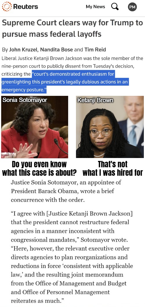 I think she belongs at the lower activist courts that are just opinionated... | image tagged in law,donald trump,big government,american politics | made w/ Imgflip meme maker