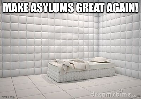 insane asylum pillow room | MAKE ASYLUMS GREAT AGAIN! | image tagged in insane asylum pillow room | made w/ Imgflip meme maker