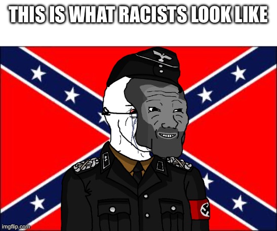 You can clearly see the face seething behind the “giga chad” mask | THIS IS WHAT RACISTS LOOK LIKE | image tagged in confederate flag,giga chad,nazi,confederate,discrimination | made w/ Imgflip meme maker