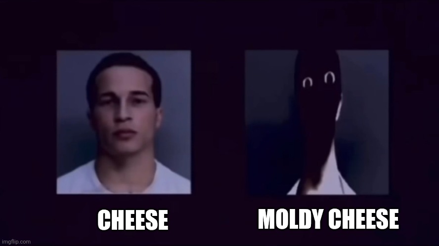 NORMAL HUMAN MEME | MOLDY CHEESE; CHEESE | image tagged in know your enemy | made w/ Imgflip meme maker