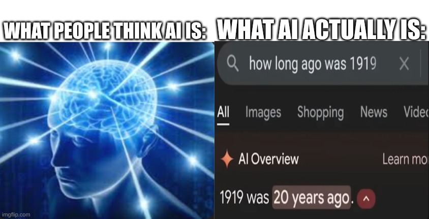 AI is as smart as an american | WHAT AI ACTUALLY IS:; WHAT PEOPLE THINK AI IS: | image tagged in ai,dumb | made w/ Imgflip meme maker