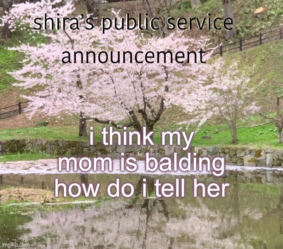 shira’s PSA | i think my mom is balding how do i tell her | image tagged in shira s psa | made w/ Imgflip meme maker