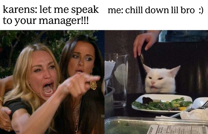 Woman Yelling At Cat | karens: let me speak to your manager!!! me: chill down lil bro  :) | image tagged in memes,woman yelling at cat,funny,karens,gifs,relatable | made w/ Imgflip meme maker