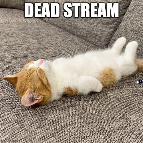 eepy kitty | DEAD STREAM | image tagged in eepy kitty,look on the right | made w/ Imgflip meme maker