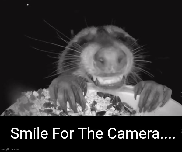 Smile for the camera | Smile For The Camera.... | image tagged in smile for the camera | made w/ Imgflip meme maker