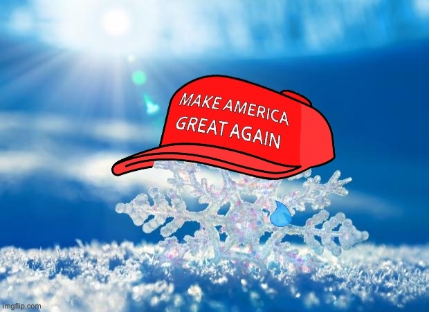 MAGA snowflake | image tagged in maga snowflake | made w/ Imgflip meme maker