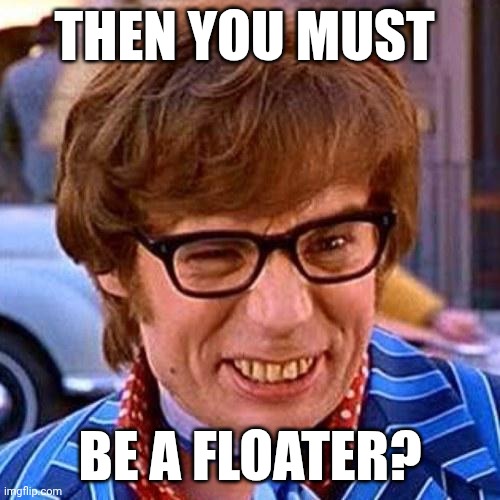Floater | THEN YOU MUST; BE A FLOATER? | image tagged in austin powers wink | made w/ Imgflip meme maker