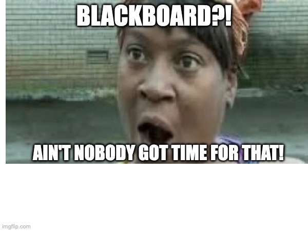 BLACKBOARD?! AIN'T NOBODY GOT TIME FOR THAT! | image tagged in work | made w/ Imgflip meme maker