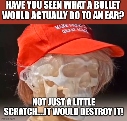 Fake assassination attempt! | HAVE YOU SEEN WHAT A BULLET WOULD ACTUALLY DO TO AN EAR? NOT JUST A LITTLE SCRATCH....IT WOULD DESTROY IT! | image tagged in donald trump,trump,maga,conservative,nevertrump,trump sucks | made w/ Imgflip meme maker