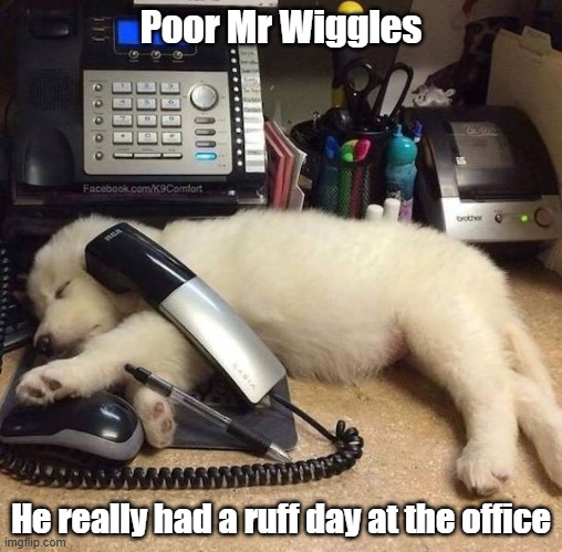 Ruff Day | Poor Mr Wiggles; He really had a ruff day at the office | image tagged in workplace,puppy,cute,tired | made w/ Imgflip meme maker