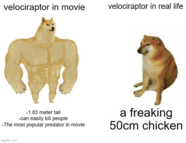 velociraptor jurassic park vs velociraptor real life | velociraptor in movie; velociraptor in real life; -1.83 meter tall
-can easily kill people
-The most popular predator in movie; a freaking 50cm chicken | image tagged in memes,buff doge vs cheems | made w/ Imgflip meme maker