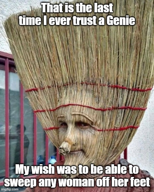 Genie Swept | That is the last time I ever trust a Genie; My wish was to be able to sweep any woman off her feet | image tagged in tricked,sweep,genie,irresistible,dating | made w/ Imgflip meme maker
