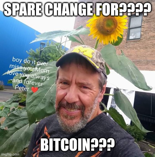 Spare Change For??? | SPARE CHANGE FOR???? BITCOIN??? | image tagged in peter plant,bitcoin,cryptocurrency,homeless,funny memes | made w/ Imgflip meme maker