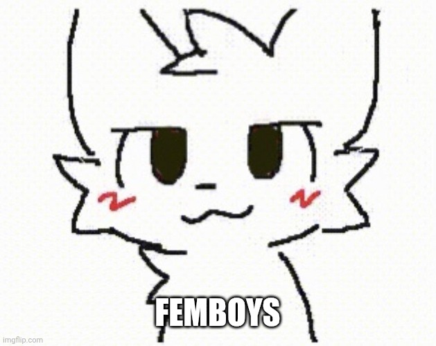 you like kissing boys | FEMBOYS | image tagged in you like kissing boys | made w/ Imgflip meme maker