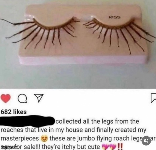 image tagged in cockroach,legs,cockroaches,hairy legs,beauty,roach | made w/ Imgflip meme maker