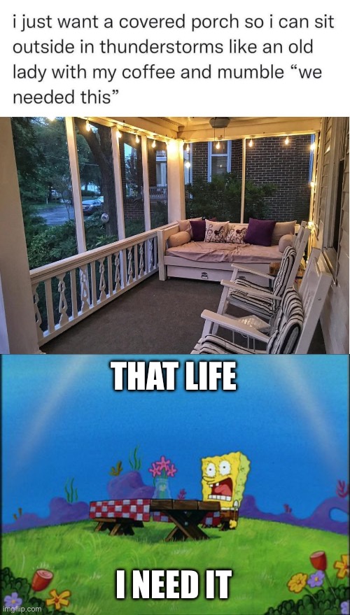 THAT LIFE; I NEED IT | image tagged in i need it | made w/ Imgflip meme maker
