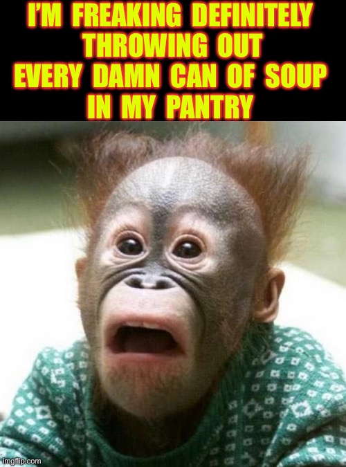 Shocked Monkey | I’M  FREAKING  DEFINITELY 
THROWING  OUT
EVERY  DAMN  CAN  OF  SOUP 
IN  MY  PANTRY | image tagged in shocked monkey | made w/ Imgflip meme maker