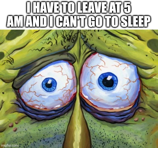 HELP MEEEE | I HAVE TO LEAVE AT 5 AM AND I CAN'T GO TO SLEEP | image tagged in insomniac spongebob | made w/ Imgflip meme maker