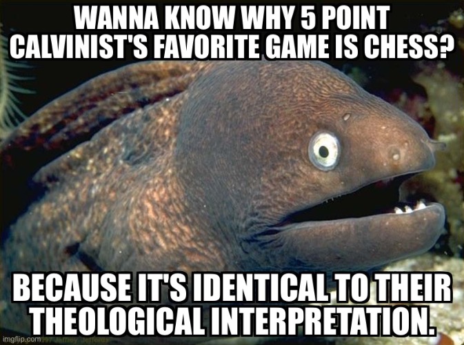 Calvi Joke | image tagged in calvinism,arminian,molinism,reformed theology 5 point calvinists,divine ai chessboard puppet dogma | made w/ Imgflip meme maker