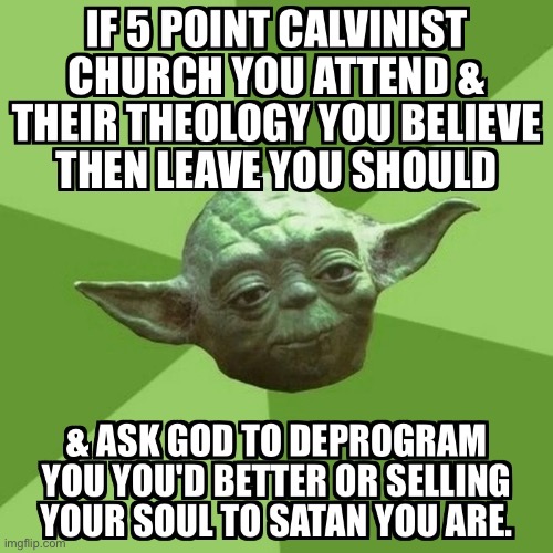Yoda Advice To 5 Pointers | image tagged in calvinism,arminian,molinism,reformed theology 5 point calvinists,dangerous nuanced gnostic subtly catholic lie | made w/ Imgflip meme maker