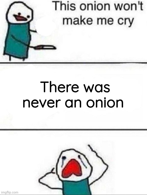 This onion wont make me cry | There was never an onion | image tagged in this onion wont make me cry | made w/ Imgflip meme maker