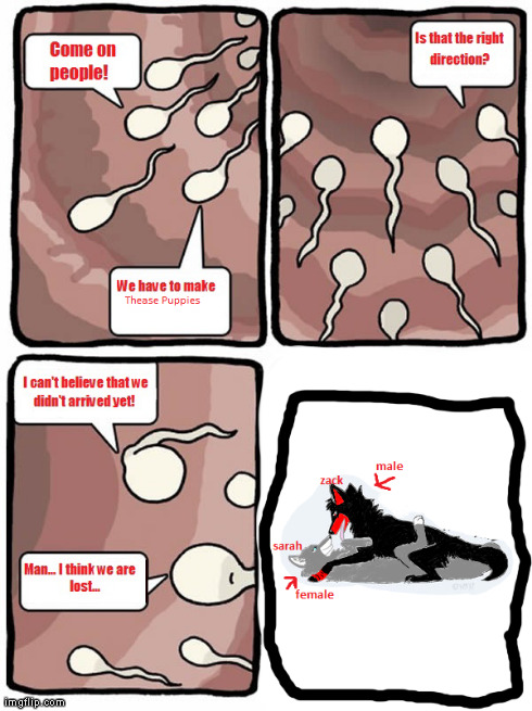 sperms getting lost in a vagina?! | image tagged in funny,sexual,random | made w/ Imgflip meme maker