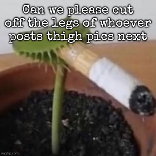 plant weeds | Can we please cut off the legs of whoever posts thigh pics next | image tagged in plant weeds,msmg | made w/ Imgflip meme maker