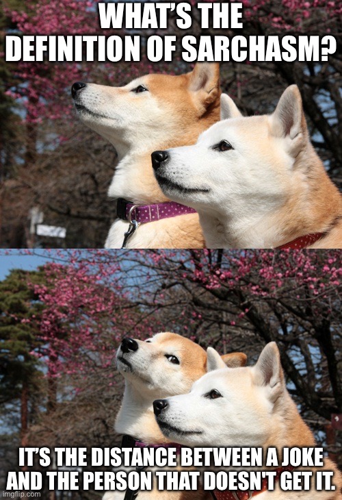 Sarchasm | WHAT’S THE DEFINITION OF SARCHASM? IT’S THE DISTANCE BETWEEN A JOKE AND THE PERSON THAT DOESN'T GET IT. | image tagged in bad pun dogs,sarcasm,chasm,you wouldn't get it,i don't get it,rofl | made w/ Imgflip meme maker