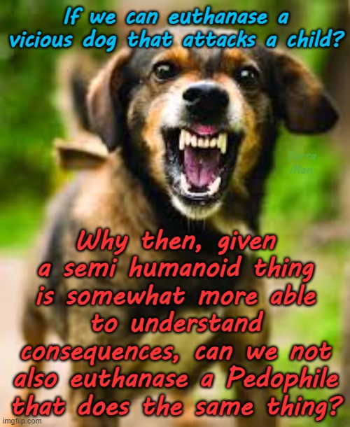 If the Government can euthanase a dog for attacking a child why not a Pedophile? | If we can euthanase a vicious dog that attacks a child? Why then, given a semi humanoid thing is somewhat more able to understand consequences, can we not also euthanase a Pedophile that does the same thing? Yarra Man | image tagged in queensland new south wales,western south australia,churches magistrates judges,predators priests,politicians,maps | made w/ Imgflip meme maker