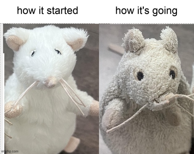 How it started vs how it's going | image tagged in how it started vs how it's going | made w/ Imgflip meme maker