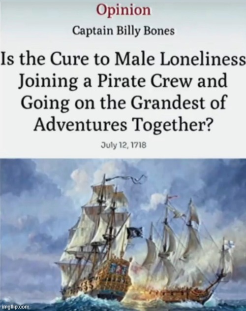 image tagged in is the cure to male lonliness joining a pirate crew | made w/ Imgflip meme maker