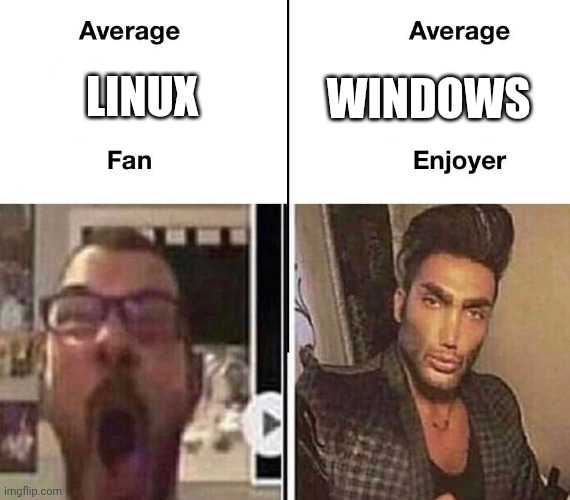 Thoughts? | LINUX; WINDOWS | image tagged in average fan vs average enjoyer | made w/ Imgflip meme maker