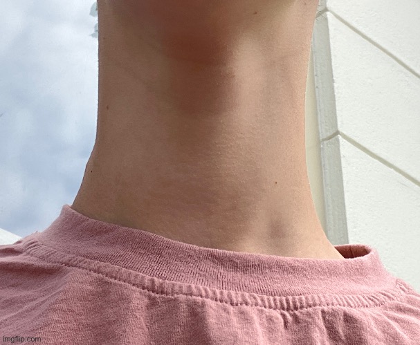 Guys is my neck cooked | image tagged in lol | made w/ Imgflip meme maker