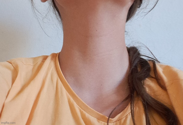 What about my neck | made w/ Imgflip meme maker